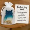 Pocket Hug Animal with Positive Card Emotional Support Resin Animal Token Mini Dachshund Turtle Owl Cat Corgi Bulldog Statue Figurine Inspirational