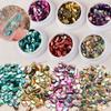 Nail Art Natural Abalone Shell Stone Chips Irregular Fragments Ornaments DIY