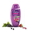 Fiama Body Wash Blackcurrant Bearberry 250ml Pack of 1 For Radiant Smooth Skin Glow Men Women