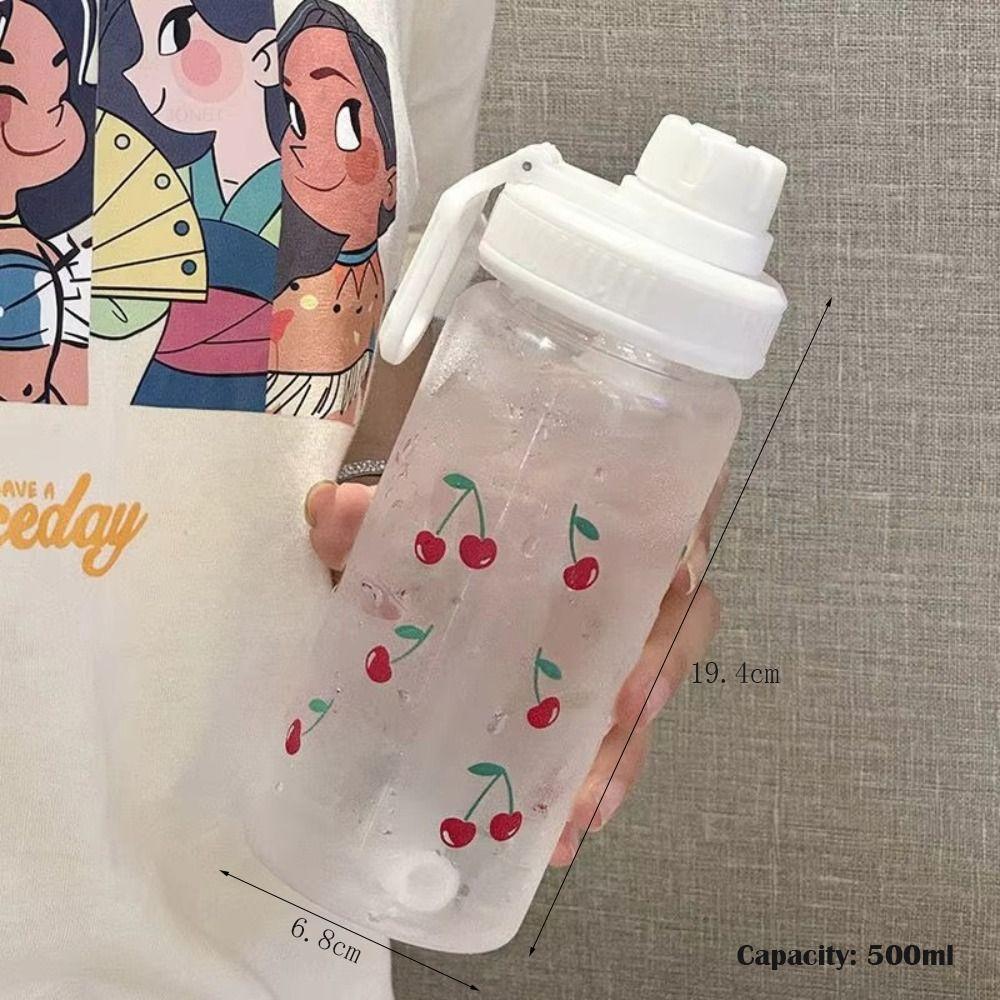 Frosted Design Plastic Water Bottle 500ML Coffee Cup Portable Juice Drinkware Daily Hydration