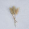 Mini Dried Flower Bouquet Card Decoration DIY Kit: Shooting Props, Gift Box Accessories, Souvenir Corsage.