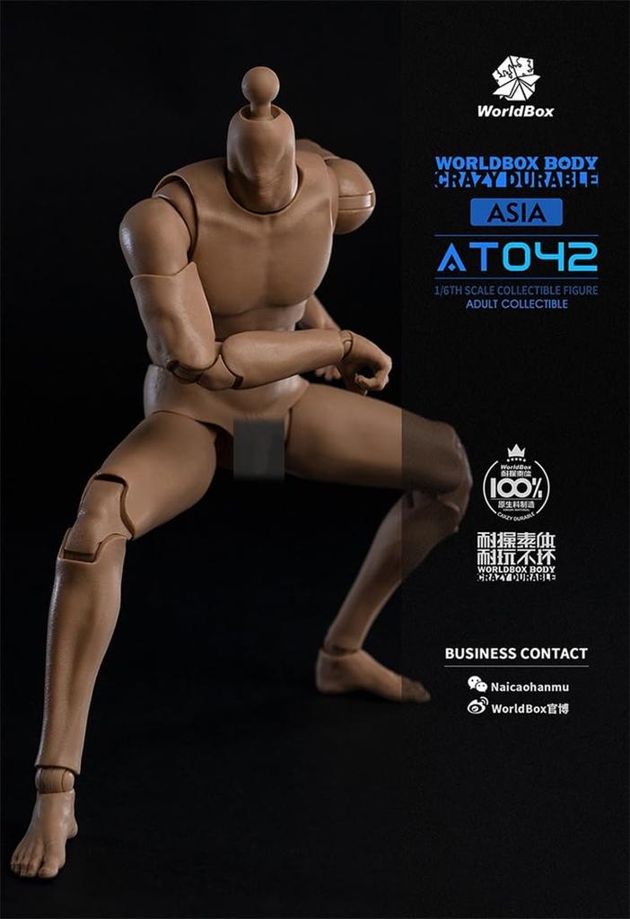 Worldbox AT042 Прочное тело азиатского мужчины для масштабных фигурок [TOYBARJAPAN] 1/6