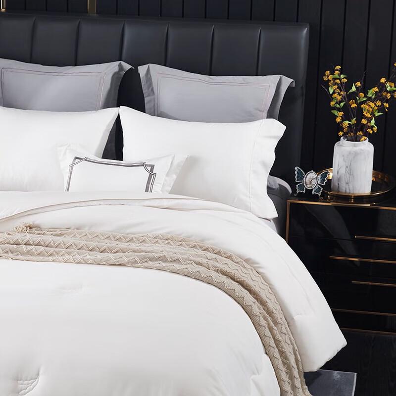 Premium Soy Fiber Antibacterial All-Season Quilt