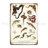 Adolphe Millot Batraciens Et Reptiles French Vintage Zoology Poster Metal Sign Wall Mural Cinema Bar Design Home Tin Sign Poster