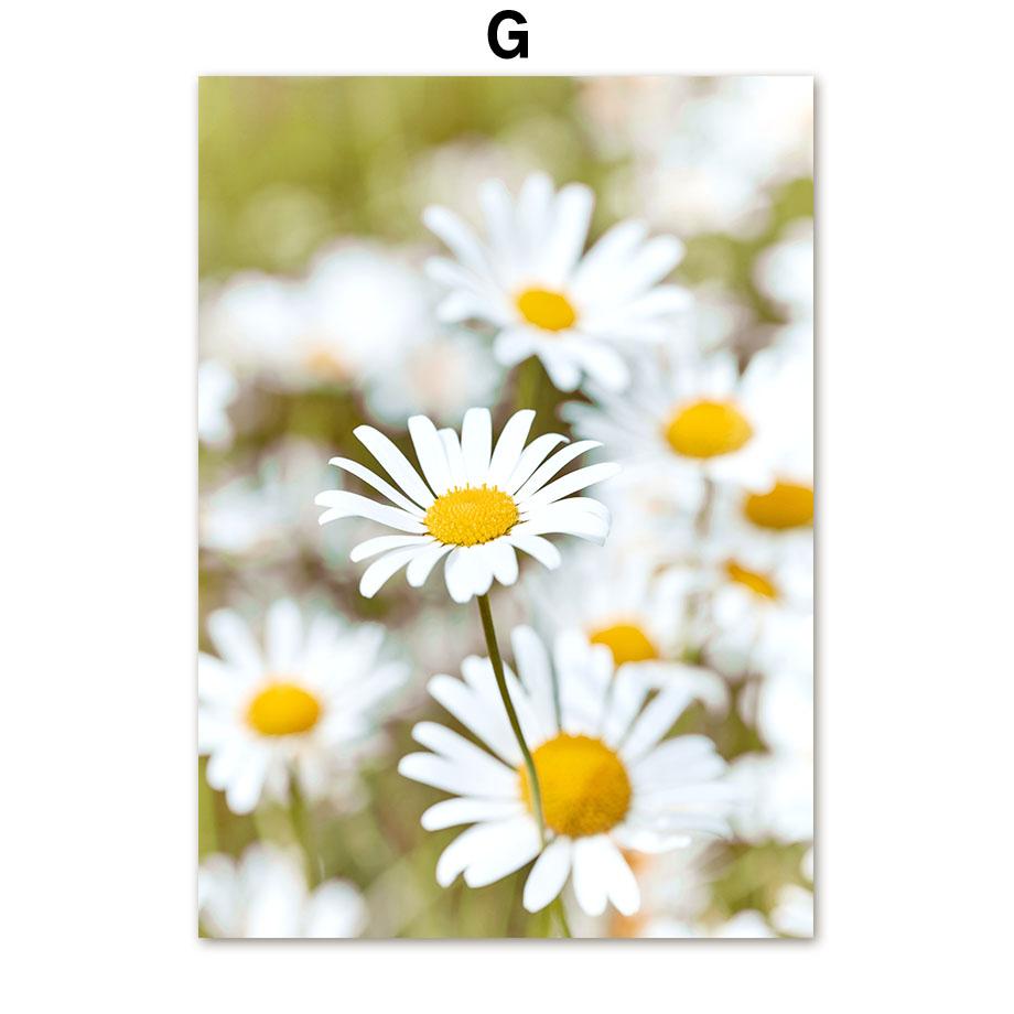 Гора, океан, водопад, девушка, ромашка, цитата, настенная живопись на холсте, постеры на скандинавскую тему и принты, настенные панно для декора гостиной