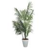 Fake Ornamental Artificial Ornamental Height 160 Artificial Day [RAKU] Green, Plant, Tree, Plant, Cm, Approx. 4.2 Kg, Flower, Simple, Office, Indoor,