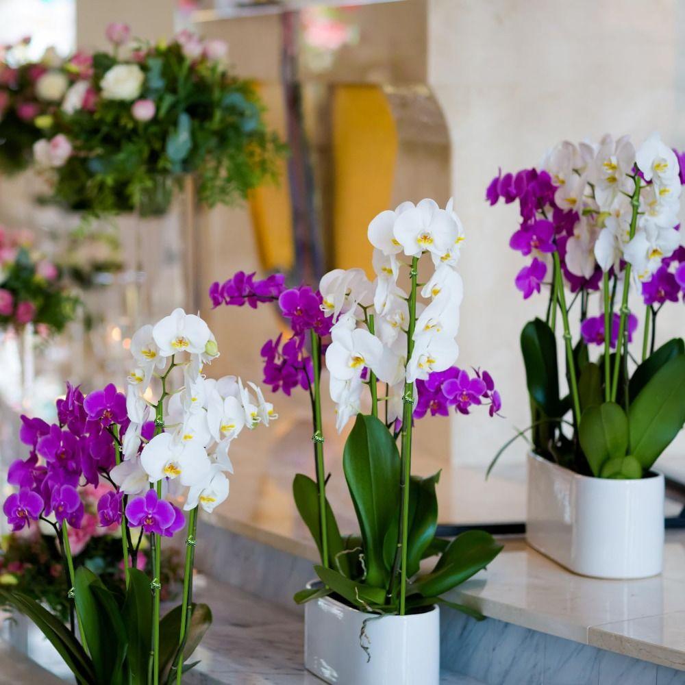 20Pcs Bendable Plant Stakes Single Stem Plant Support Stakes Flower Making Plant Sticks