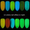 Glow In Dark Nail Glitter Powder DIY Manicure Tips Luminous Pigment Decoration