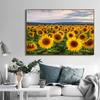 Поле подсолнухов на закате Солнечный пейзаж Художественные постеры Холст Живопись Настенные принты Картины для гостиной Домашний декор Cuadros