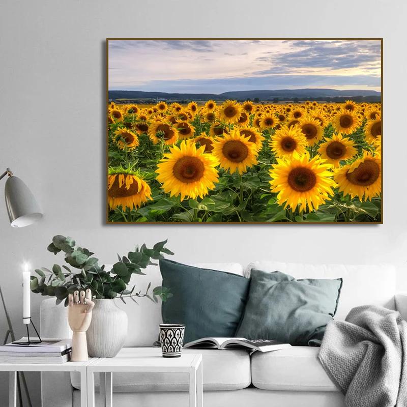 Поле подсолнухов на закате Солнечный пейзаж Художественные постеры Холст Живопись Настенные принты Картины для гостиной Домашний декор Cuadros