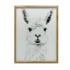 Subtle Lama Subtle Lama, 40X50 Cm, Gold Aluminum Frame, 230 Gsm Matte Paper