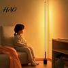 360 Degree Bright Standing Lamp USB Floor for Bedroom, 50/100cm Modern Light with Remote, Ambient Lighting Home Decor Dimmable LED Corner Living Room,
