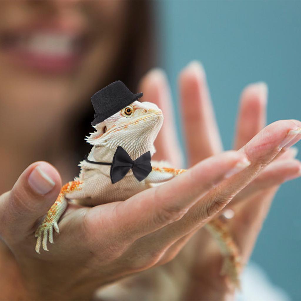 6 шт. регулируемый комплект шлейки и поводка для бородатого дракона, кожаный поводок для рептилий и ящериц с шляпой «летучая мышь» и галстуком-бабочкой для маленьких амфибий