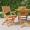 Garden Chairs 2 pcs Foldable 55 x 62 x 90 cm Solid Teak Wood