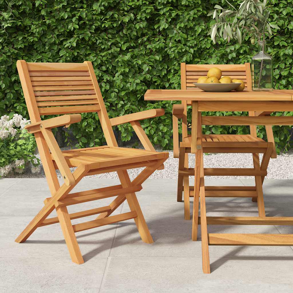 Garden Chairs 2 pcs Foldable 55 x 62 x 90 cm Solid Teak Wood