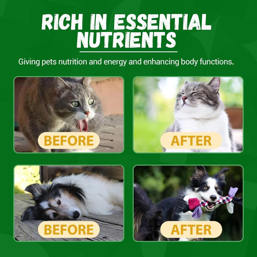 YEGBONG Pet Nutritional Supplement Enhanced Energy Vitality Supplement for Dogs and Cats Pet Body Care
