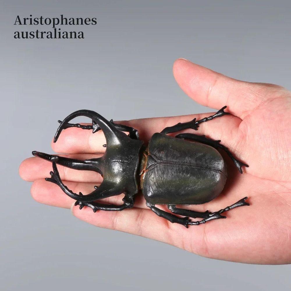 Realistic Beetle Action Figures Wild Insect Lifelike Insect Figurines Desktop Ornament