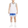 Nike Баскетбольные шорты Dri Fit мужские IF1594-480