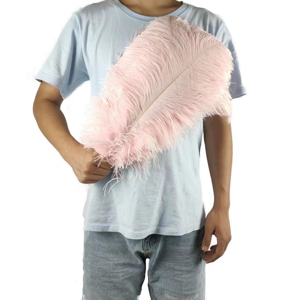 10PCS 45-50cm Colorful Big Feathers Ostrich Table Flower Table Flower Wedding Decoration Ostrich Feathers