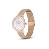 DANIEL WELLINGTON Серия Brilliant Часы Кварцевый механизм Стальной ремешок 32 мм Циферблат с рябью Женские часы Сверкающий кристалл DW00100823