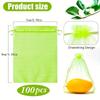 100Pcs Fruit Insect Proof Mesh Bag, Vegetable and Fruit Bird and Insect Proof Mesh Bag