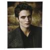 The Twilight Saga New Moon Jigsaw Puzzle (Edward)