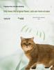 Кошачий наполнитель Boca Cat Original из тофу, Без пыли, Дезодорирующий, Быстро впитывающий, Не прилипающий, Смываемый