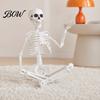 Halloween Skeleton Toy 3ft Life Size Skeleton, Full Body Posable Plastic Prop, Realistic Decoration Human Bones Model for Yard Patio Lawn Garden