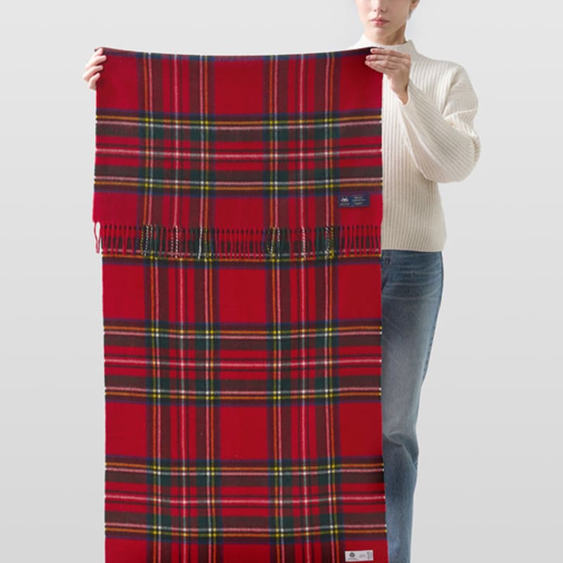 ABRAHAM MOON Шаль из мериносовой шерсти 70 см - Угольный