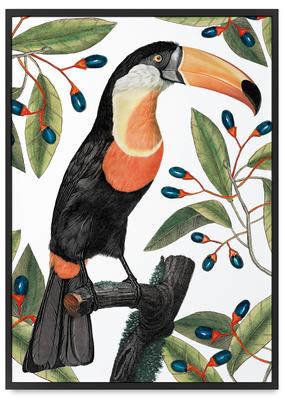 Плакат тукан в листьях в черной рамке