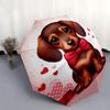 Dachshund, Valentine Theme 8 Bone Hand Automatic Folding Fashion umbrella, Compact and Portable Design, A Perfect Gift for Birthday, Christm