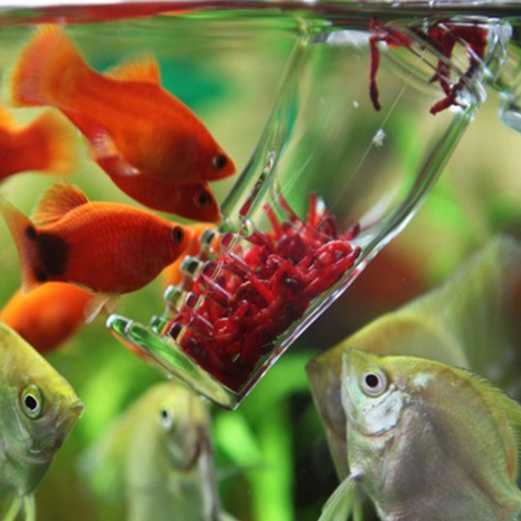 Акриловая ловушка для улиток для аквариумов с присоской, прозрачная ловушка для вредителей, многофункциональная красная кормушка для червей, ловушка для планарии