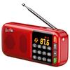 SAST N28 Портативное многофункциональное радио с Bluetooth вилка CN (адаптер в комплекте)