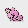 BT21 COOKY Cozy Home Flat Cushion