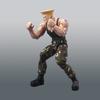 S.H. Figuart Guile -Outfit 2-, Korean Popular Bandai