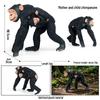 Large Red Orangutan Monkey Model - Cognitive Children's Zoo Gift