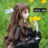Парики и аксессуары для кукол BJD 1/6 Для кукол BJD 30 см Короткие/Длинные волосы Волокно высокой термостойкости Парики для кукол BJD 30 см Аксессуары для волос