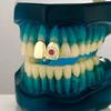Съемные Хип-хоп Зубы Grillz Панк Шарм Зубы Grillz Модные Зубные Решетки для Женщин Мужчин