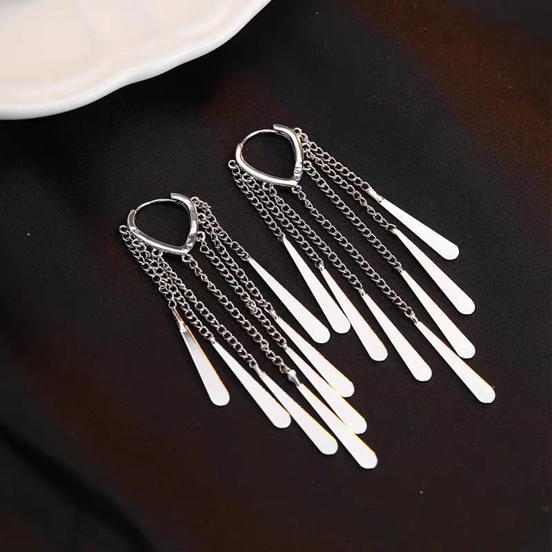 S111 sterling silver long fringed earrings niche design 1111 new light luxury stud earrings premium earrings femininity
