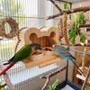 Splash-proof Bird Feeding Station Large Capacity Bird Perch Play Toy Food Dispensers  Aviary Use