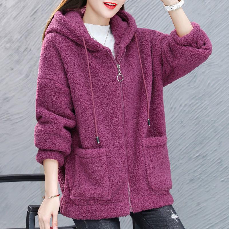 Women's Six-Color Teddy Fleece Hoodie: Korean Style, Plus-Size, Thick Autumn/Winter Cardigan
