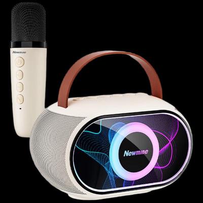 Портативная Bluetooth-колонка для караоке Newmine KS11, штекер CN (адаптер в комплекте)