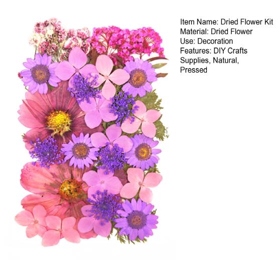 1 Set Dried Pressed Flowers Kit Colorful Natural Flowers DIY Art Crafts Supplies Resin Jewelry Epoxy Mold Candle Soap Vase Making Nail Card