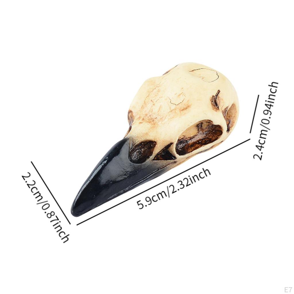 Gothic Raven Skull Necklace for Halloween Home Decor