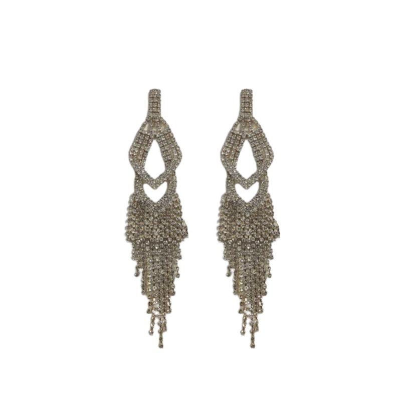 Silver needle metal long fringed earrings niche light luxury high-end earrings fashion versatile temperament earrings women