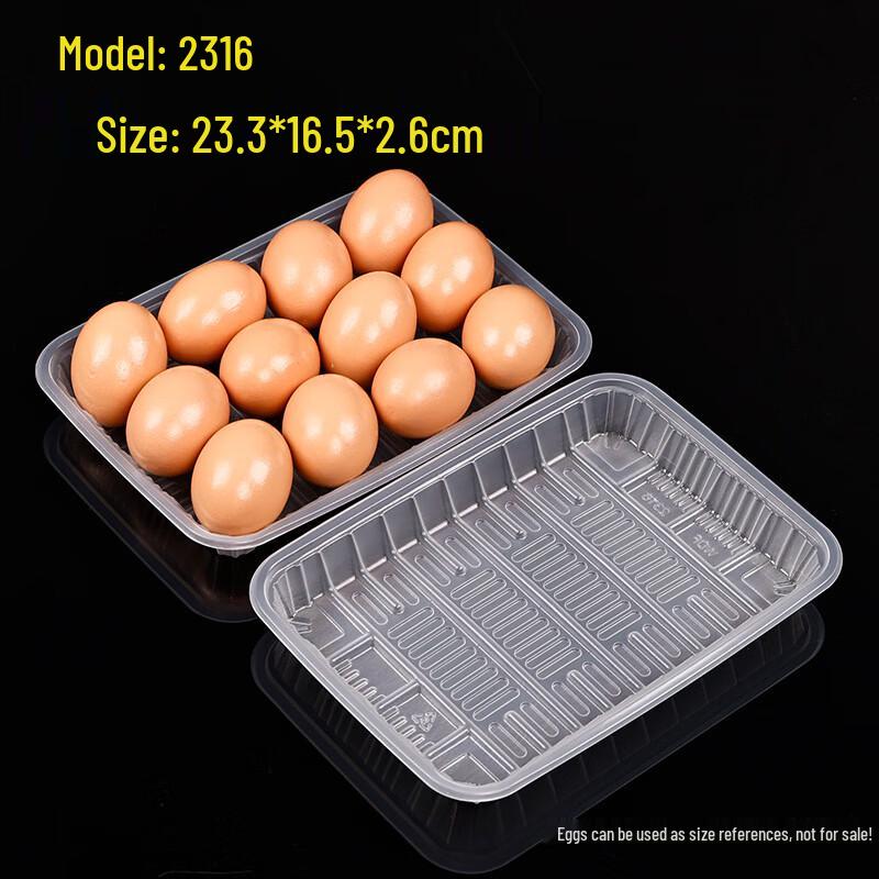 Disposable Translucent Food Packaging Trays