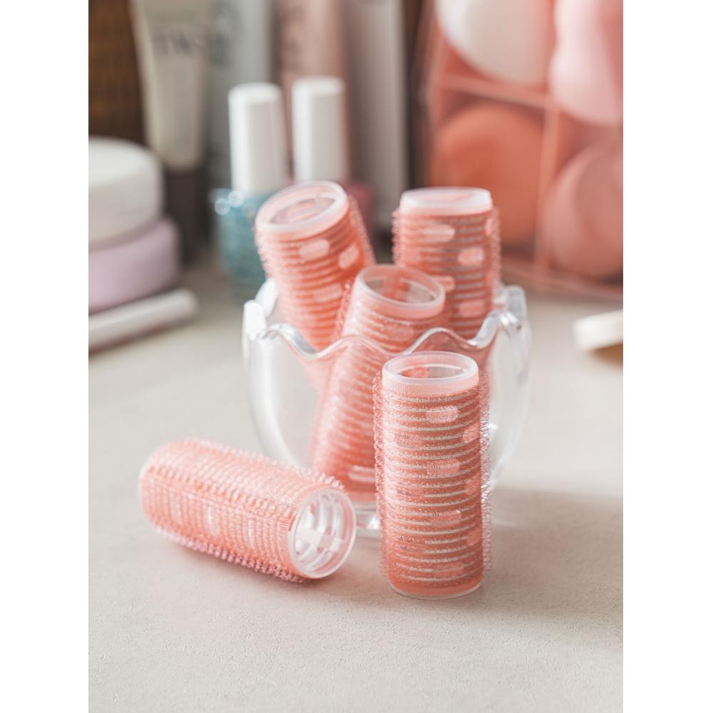 Daiso Thermal Conductive Hair Roll 31 Mm Pack Of 5