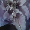 Tomorrowobject 23FW. лилия бриз. серьга 03. 2 тип