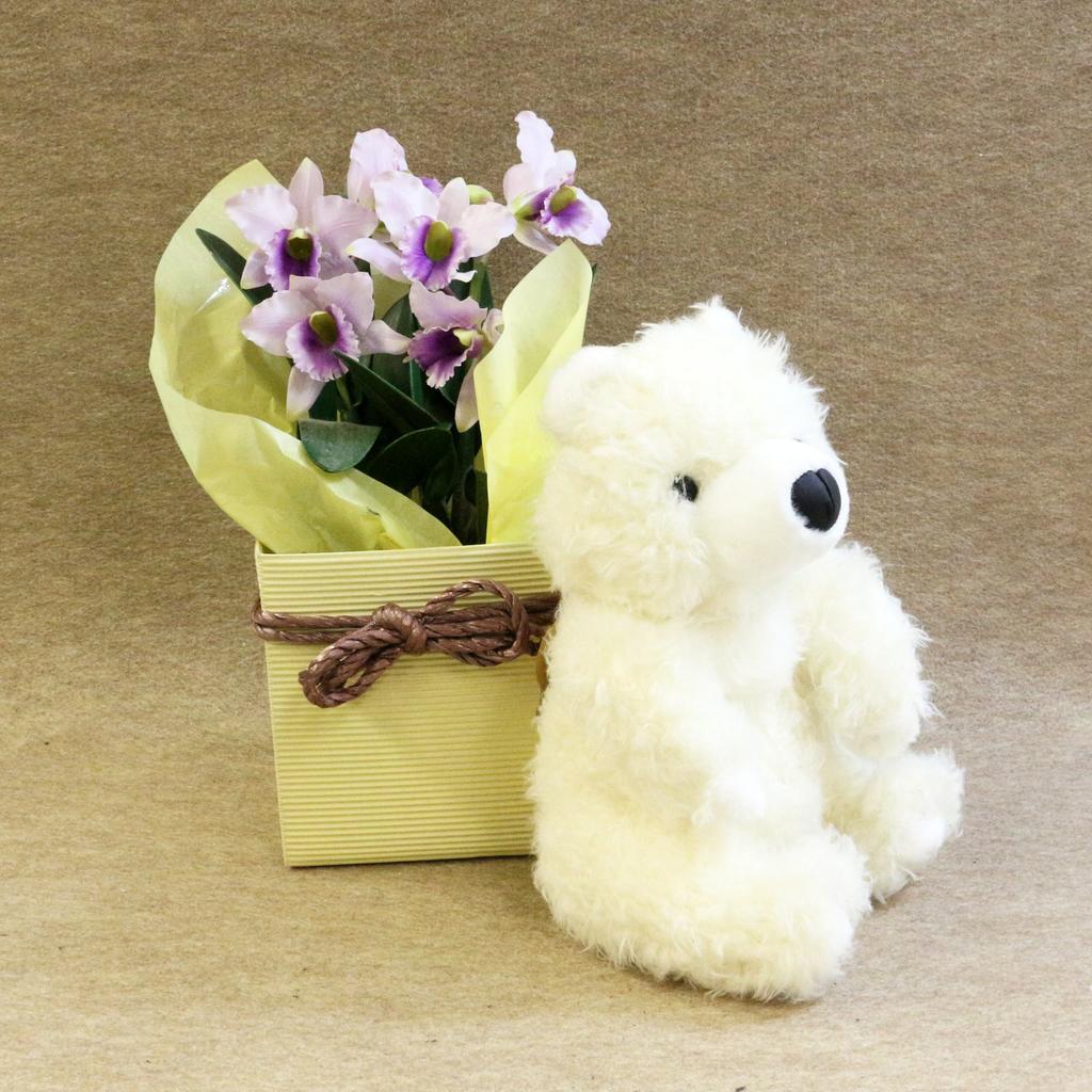 Fluffy Bear Ivory