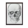 Czaszka (Front) - Plakat Anatomiczny Czaszka (Front) - Plakat Anatomiczny, 50X70 Cm, Bez Ramy, Płótno Premium Na Blejtramie